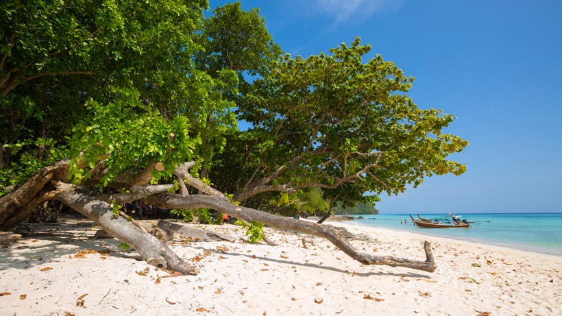 andaman4
