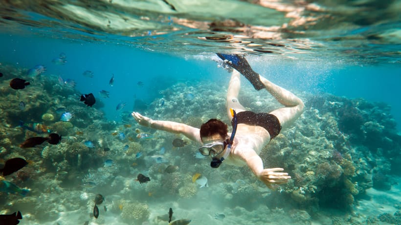 andaman8