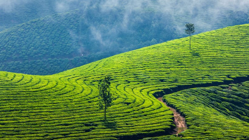 kerala