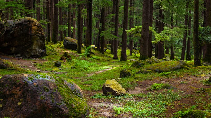 manali